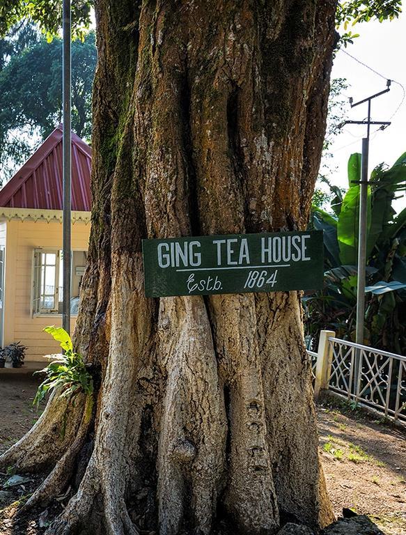다르질링 Ging Tea House 게스트하우스 외부 사진